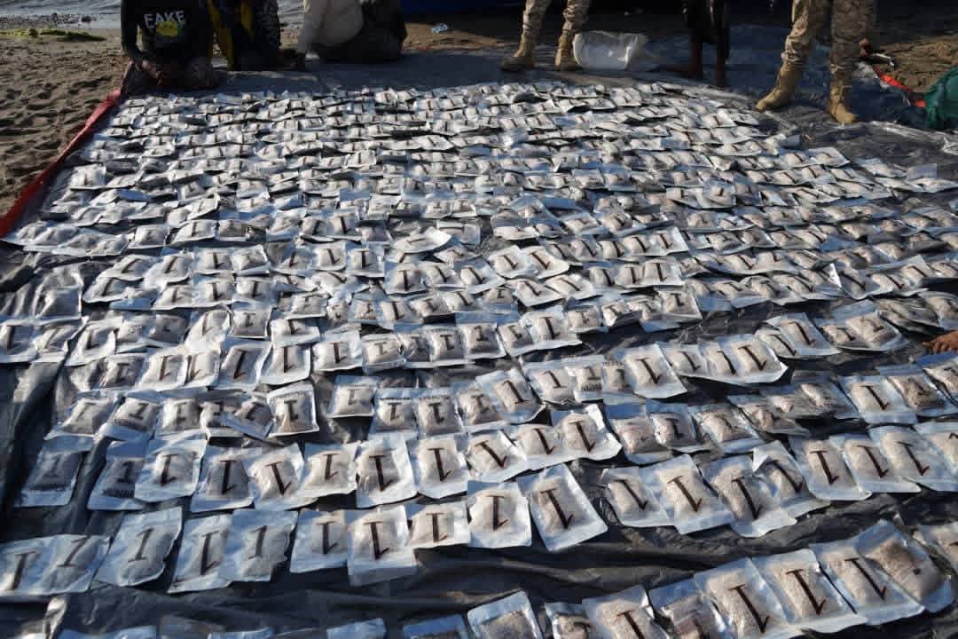 الحملة الأمنية لقوات العمالقة الجنوبية تضبط كمية كبيرة من المخدرات على متن قارب بالقرب من باب المندب